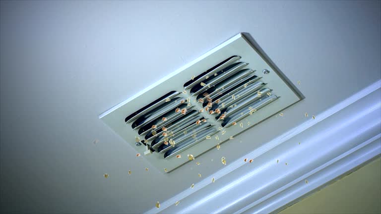 Best HVAC Air Duct Cleaning  in Iuka, MS